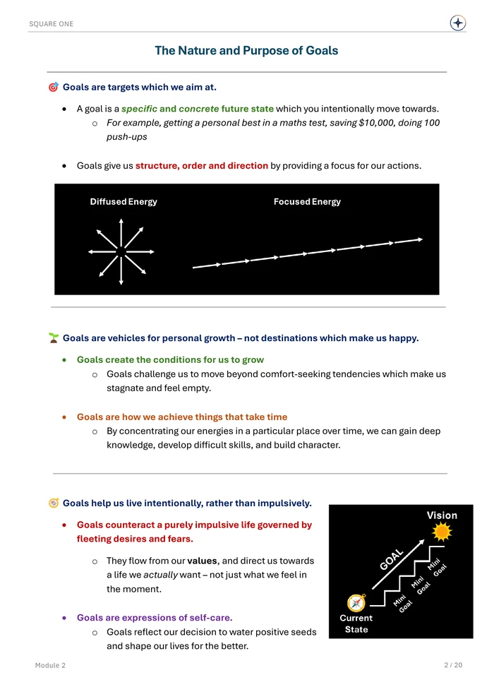 The Nature and Purpose of Goals, original Module 2 course notes page 2
