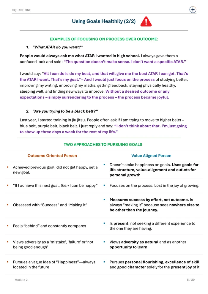 Using Goals Healthily (2/2), original Module 2 course notes page 5