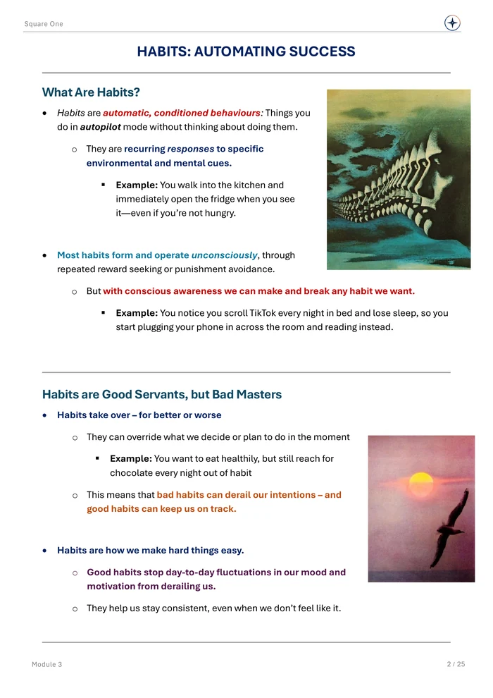 HABITS: AUTOMATING SUCCESS, original Module 3 course notes page 2