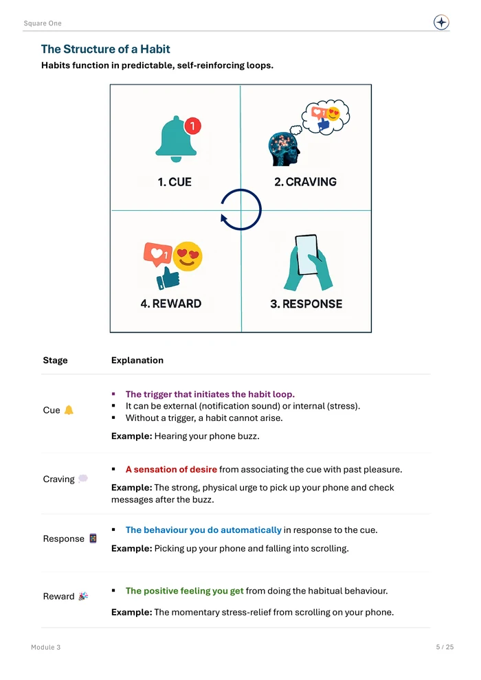 The Structure of a Habit, original Module 3 course notes page 5