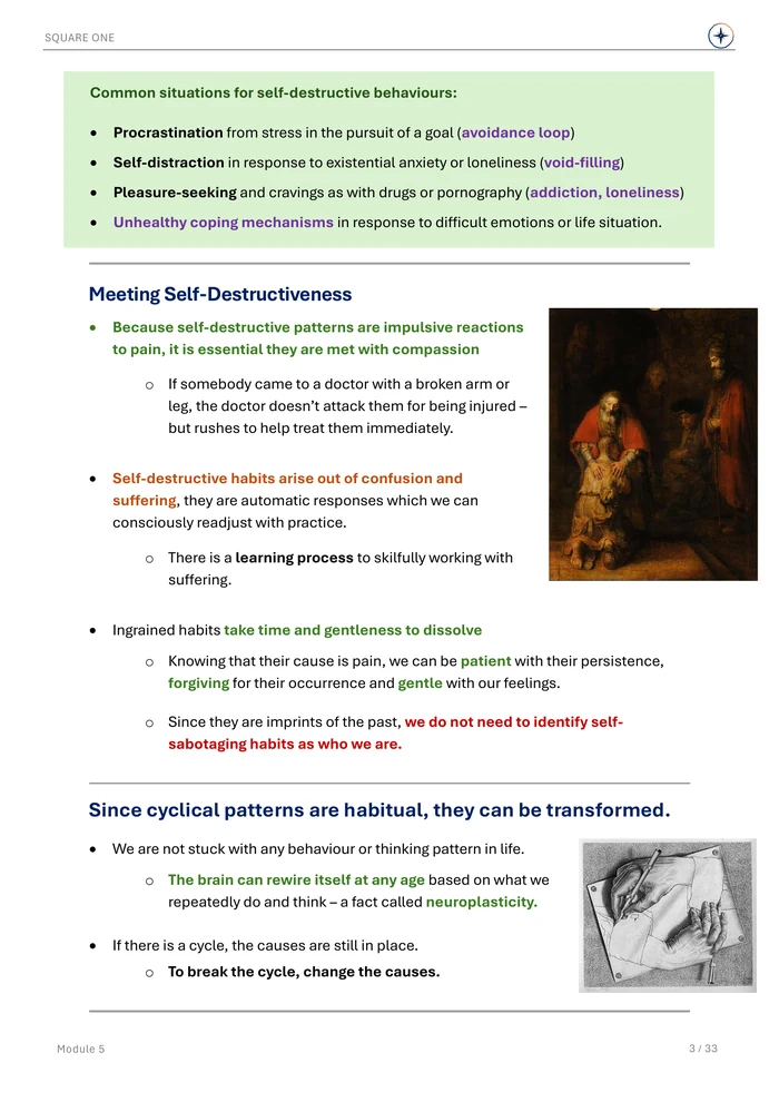 Meeting Self-Destructiveness, original Module 5 course notes page 3